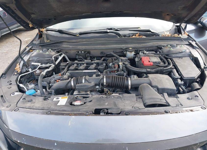 Photo 10 of 2019 Honda Accord LX (VIN 1HGCV1F16KA034365)