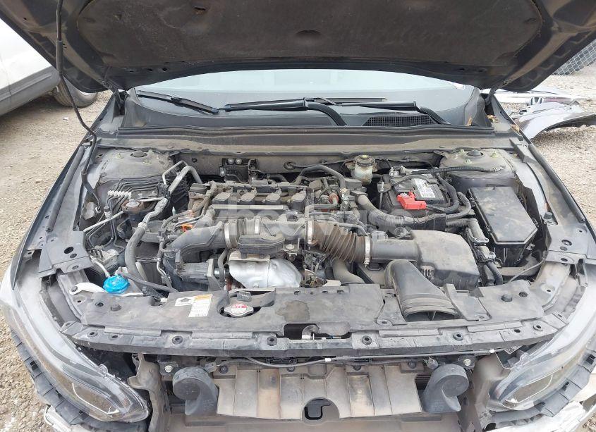 Photo 10 of 2019 Honda Accord LX (VIN 1HGCV1F16KA078060)