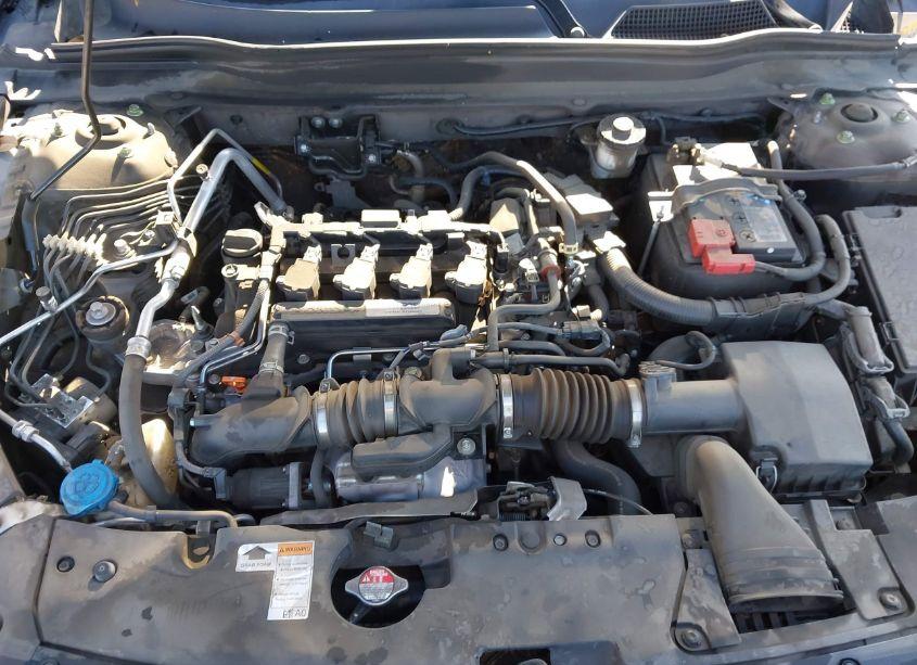 Photo 10 of 2019 Honda Accord LX (VIN 1HGCV1F18KA055203)