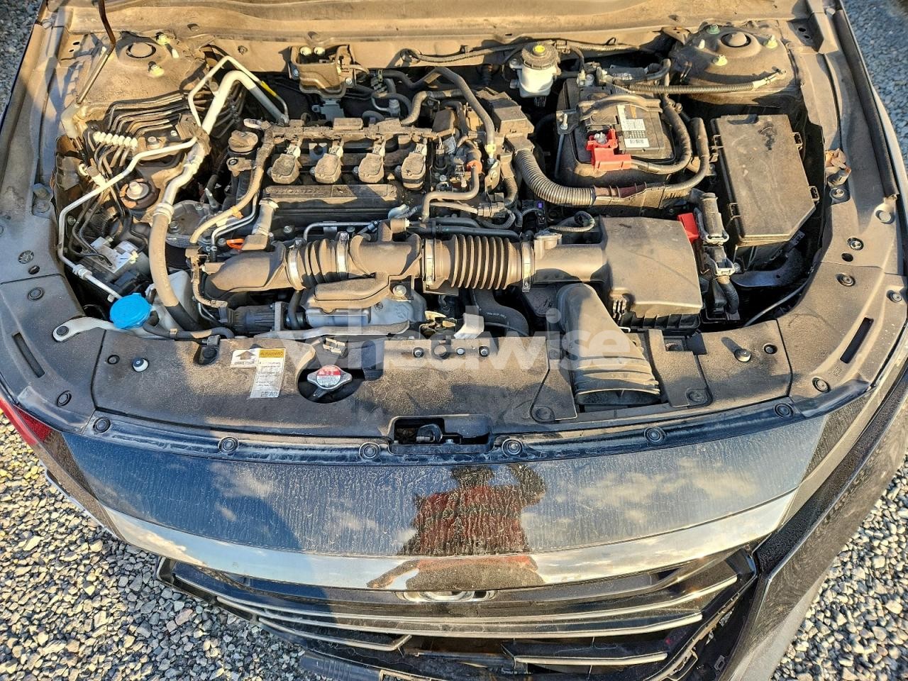 Photo 11 of 2021 HONDA ACCORD SPORT (VIN 1HGCV1F35MA042901)