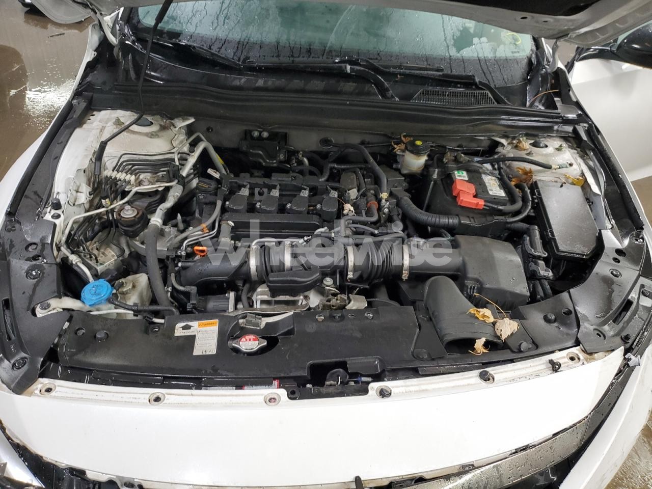 Photo 11 of 2021 HONDA ACCORD SPORT (VIN 1HGCV1F38MA105635)