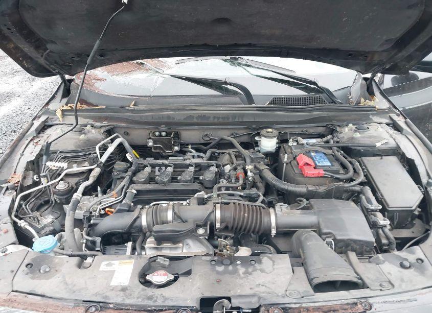 Photo 10 of 2021 Honda Accord SPORT SPECIAL EDITION (VIN 1HGCV1F4XMA101837)