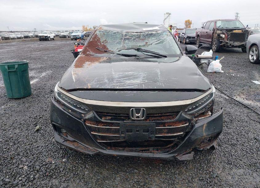 Photo 12 of 2021 Honda Accord SPORT SPECIAL EDITION (VIN 1HGCV1F4XMA101837)
