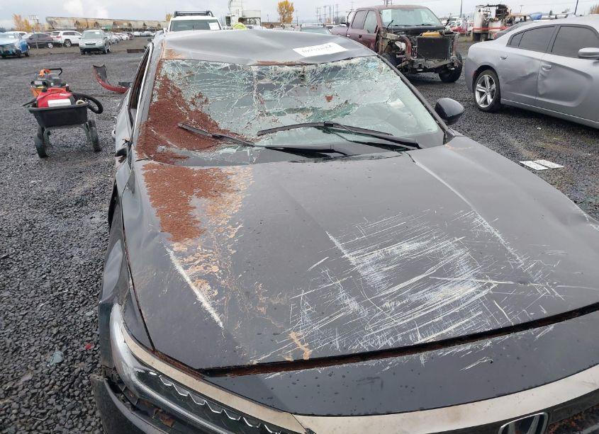 Photo 6 of 2021 Honda Accord SPORT SPECIAL EDITION (VIN 1HGCV1F4XMA101837)