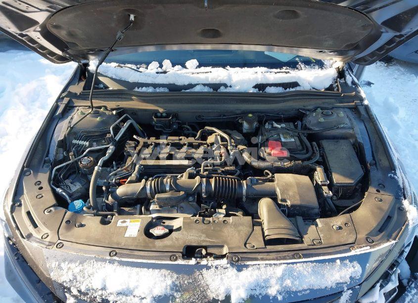 Photo 10 of 2019 Honda Accord EX-L (VIN 1HGCV1F52KA064773)