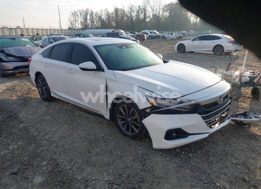 2021 Honda Accord EX-L (VIN 1HGCV1F57MA084262) main photo