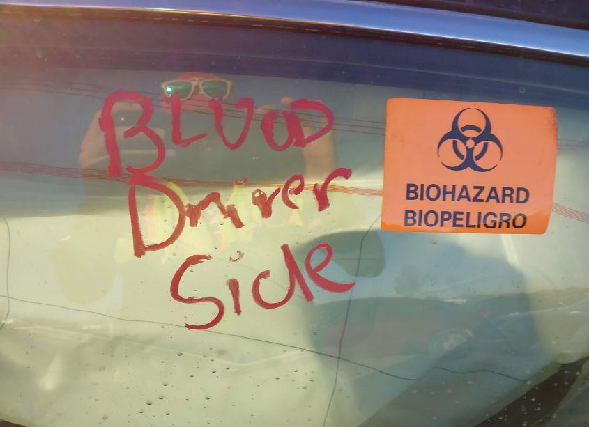 Photo 7 of 2024 Honda Accord EX (VIN 1HGCY1F31RA032669)