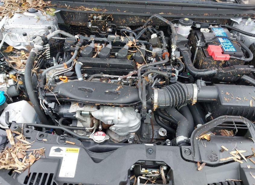 Photo 10 of 2023 Honda Accord EX (VIN 1HGCY1F33PA041242)