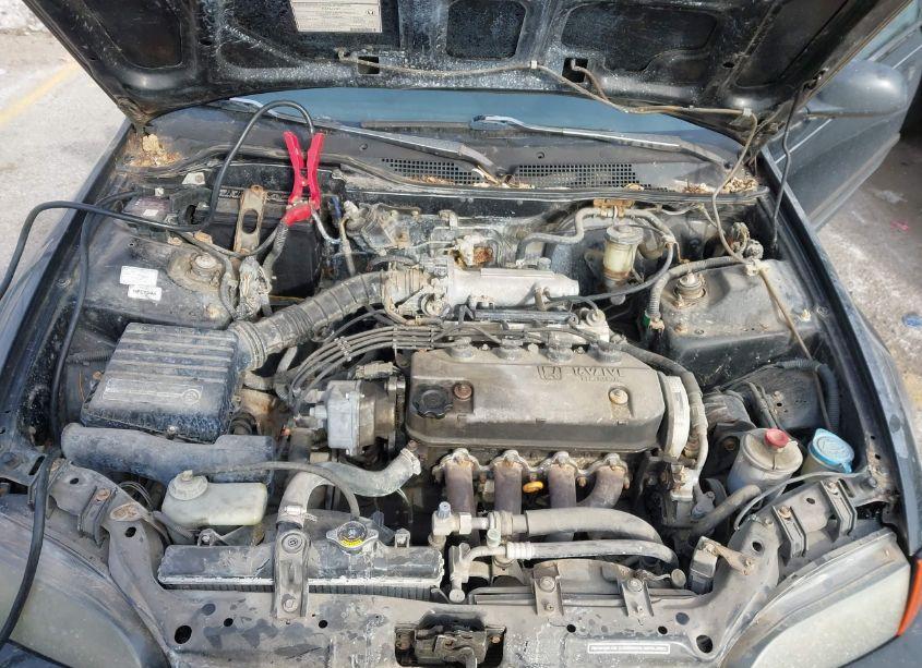 Photo 10 of 1995 Honda Civic DX (VIN 1HGEJ2220SL001763)