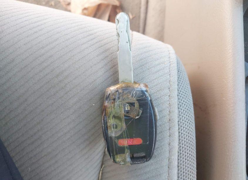 Photo 11 of 2009 Honda Civic LX (VIN 1HGFA16519L020254)