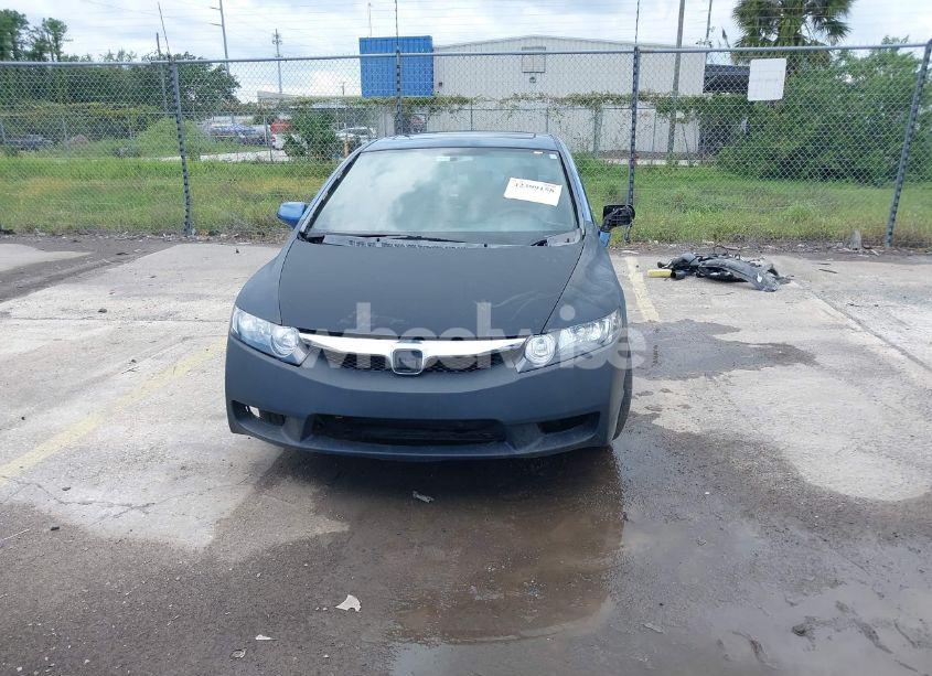 Photo 6 of 2008 Honda Civic EX (VIN 1HGFA16858L029239)