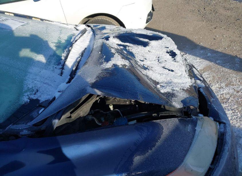 Photo 13 of 2008 Honda Civic EX (VIN 1HGFA16878L115975)