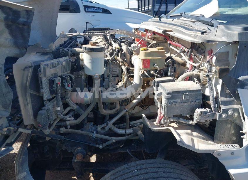 Photo 9 of 2020 Chevrolet Silverado 6500HD 1WT (VIN 1HTKHPVK4LH610321)