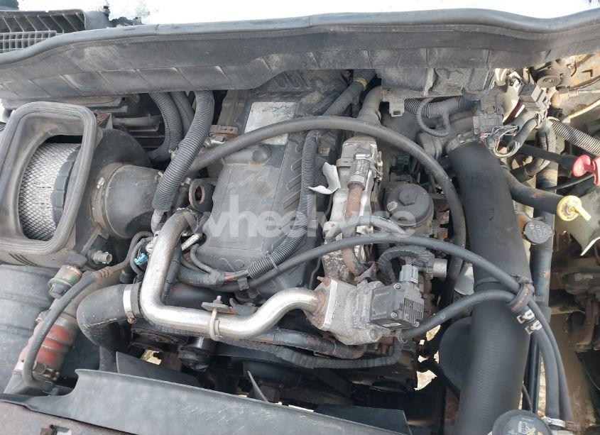 Photo 10 of 2010 International 4000 4300 (VIN 1HTMMAAL1AH167851)