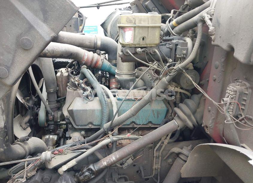 Photo 9 of 1996 International 4000 4700 (VIN 1HTSCABM0TH259344)