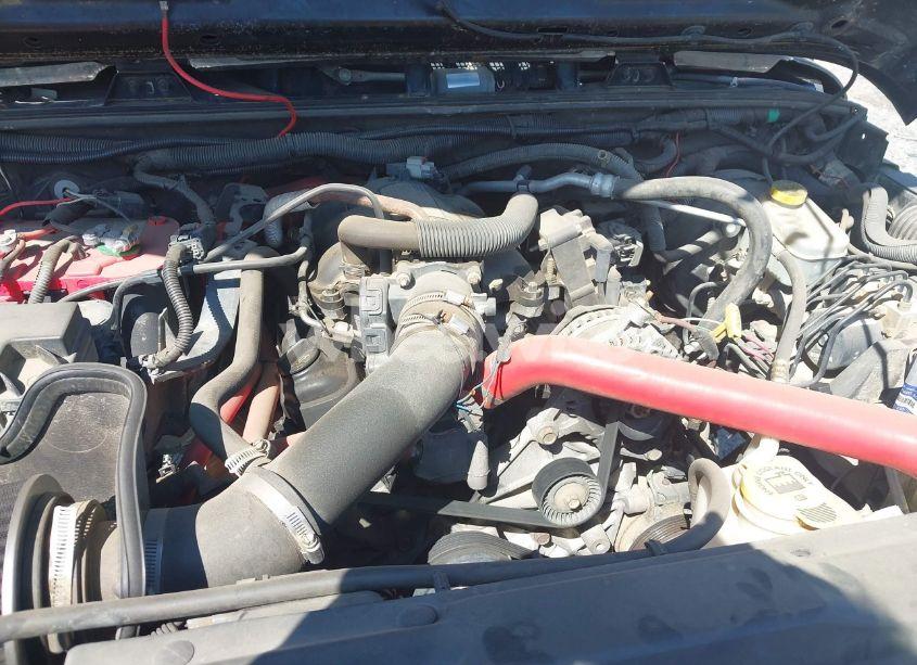 Photo 10 of 2010 Jeep Wrangler SPORT (VIN 1J4AA2D10AL120620)