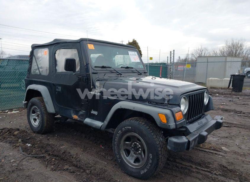 2002 Jeep Wrangler X (VIN 1J4FA39S12P770533) main photo