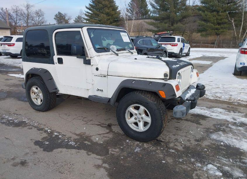 2003 Jeep Wrangler X (VIN 1J4FA39S83P331363) main photo
