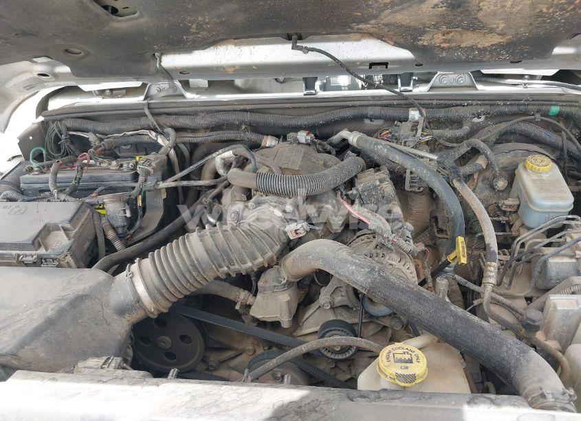 Photo 10 of 2008 Jeep Wrangler SAHARA (VIN 1J4FA54158L640474)