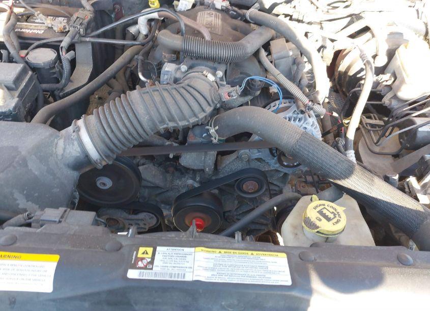 Photo 10 of 2007 Jeep Wrangler SAHARA (VIN 1J4FA541X7L205285)