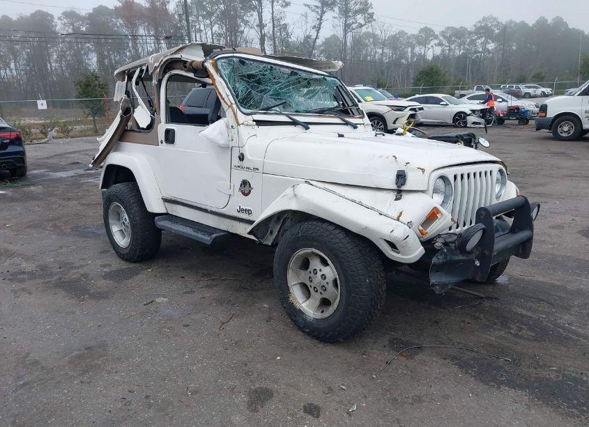 2002 Jeep Wrangler SAHARA (VIN 1J4FA59S02P714577) main photo