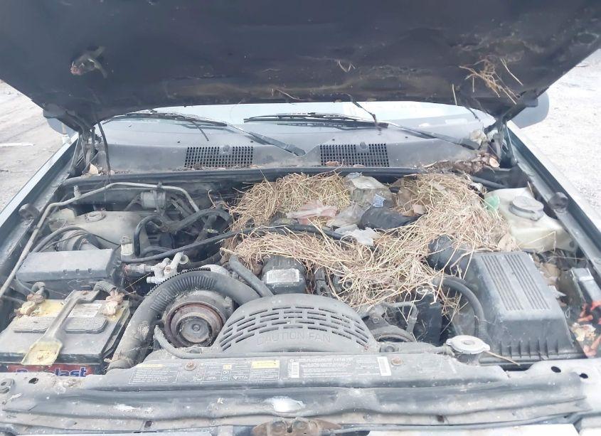 Photo 10 of 1995 Jeep Grand CHEROKEE LAREDO (VIN 1J4FX58S3SC572538)