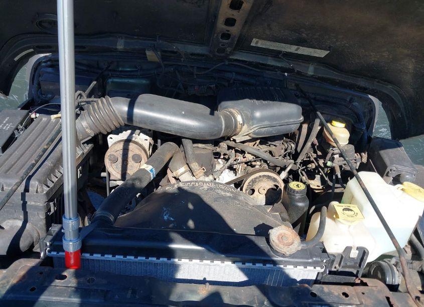 Photo 10 of 1998 Jeep Wrangler SE (VIN 1J4FY29P6WP711517)