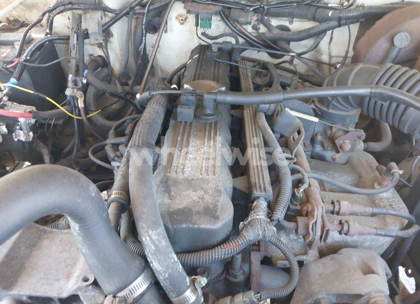 Photo 10 of 1993 Jeep Wrangler / YJ (VIN 1J4FY29S7PP216457)