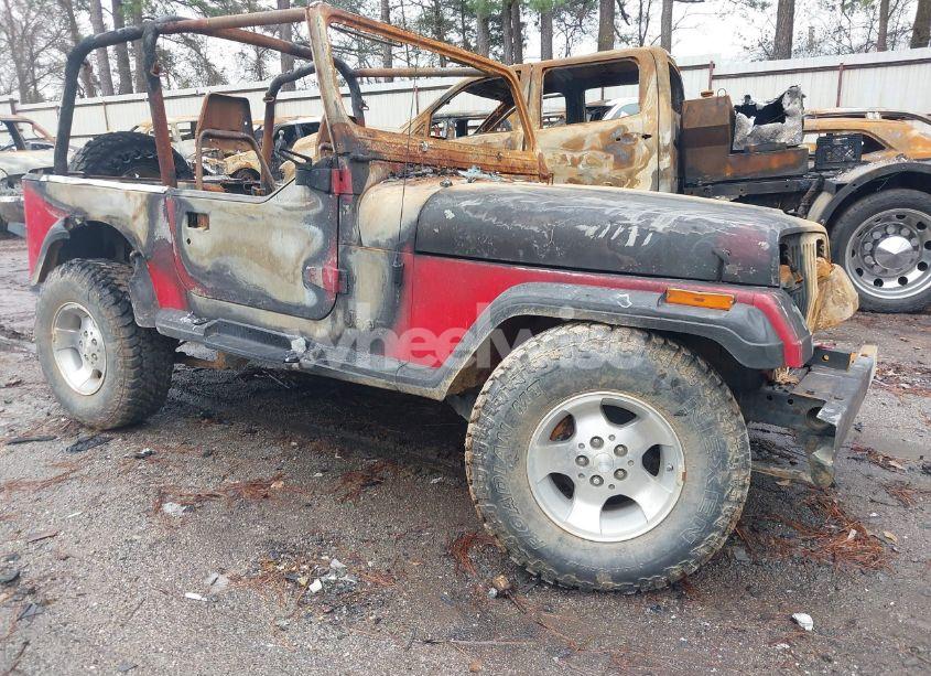 1993 Jeep Wrangler / YJ (VIN 1J4FY29S9PP256040) main photo