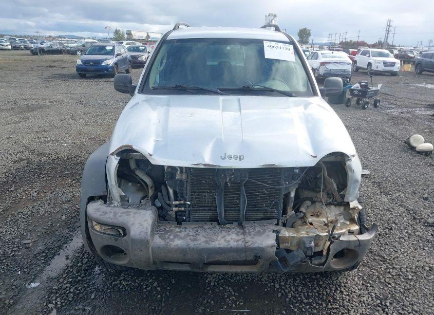 Photo 13 of 2004 Jeep Liberty SPORT (VIN 1J4GK48K04W229751)