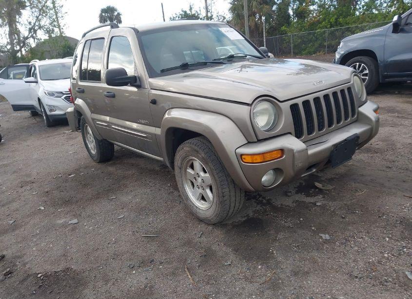 2004 Jeep Liberty LIMITED EDITION (VIN 1J4GK58K54W205080) main photo