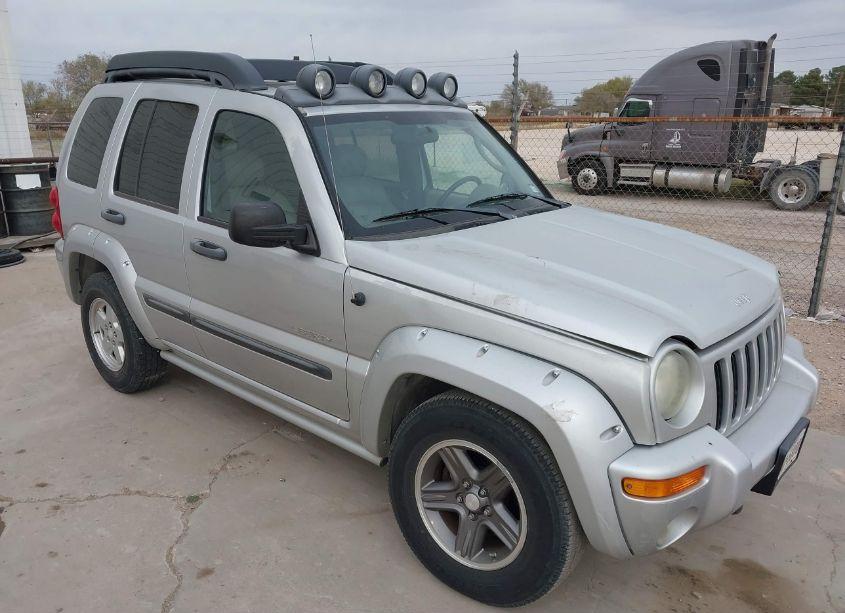 2004 Jeep Liberty RENEGADE (VIN 1J4GL38K64W331157) main photo