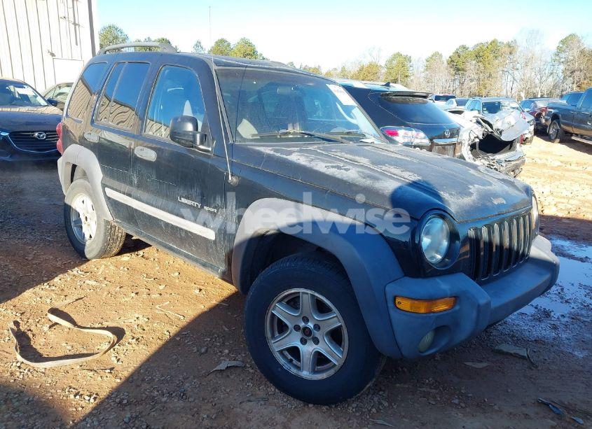 2002 Jeep Liberty SPORT (VIN 1J4GL48K12W297423) main photo