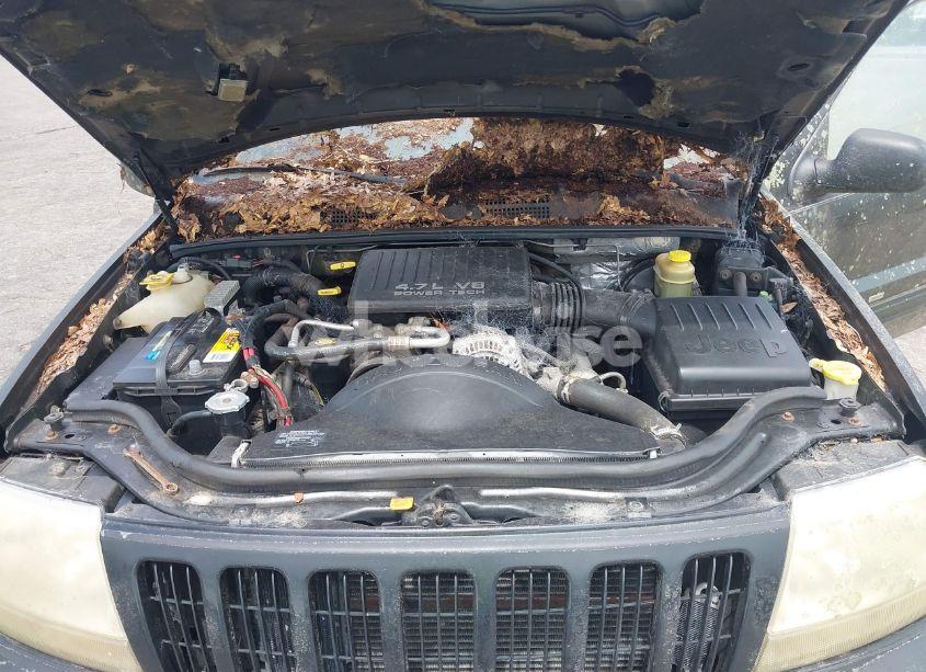 Photo 10 of 1999 Jeep Grand CHEROKEE LIMITED (VIN 1J4GW68N5XC702303)