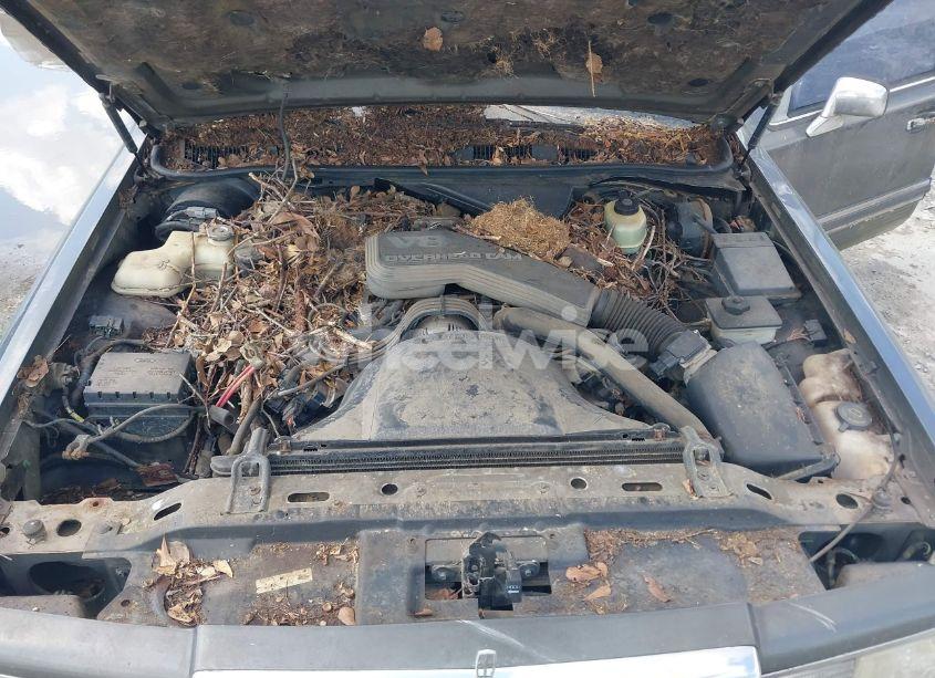 Photo 10 of 1991 Lincoln Town CAR EXECUTIVE (VIN 1LNCM81W9MY732357)