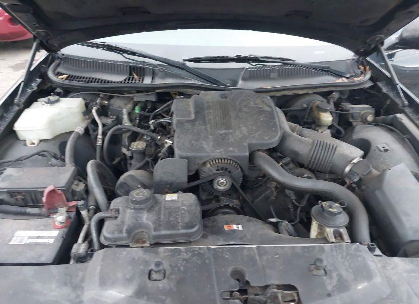 Photo 10 of 2004 Lincoln Town CAR SIGNATURE (VIN 1LNHM81W14Y686738)