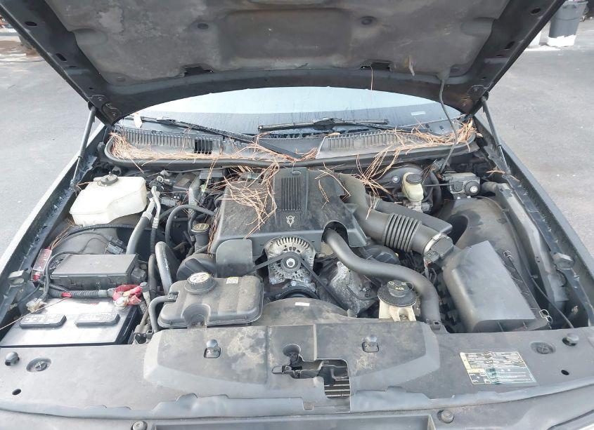 Photo 10 of 2004 Lincoln Town CAR SIGNATURE (VIN 1LNHM81W74Y612353)