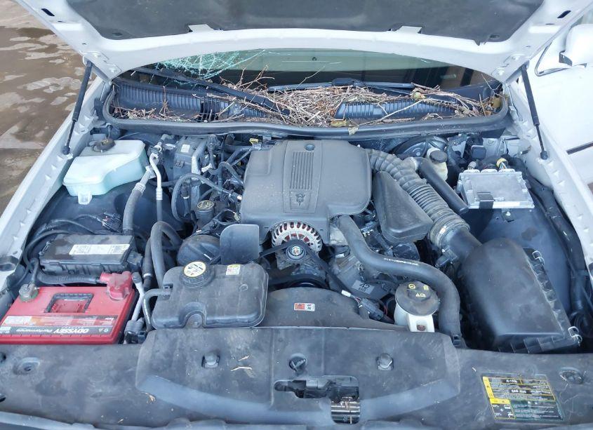 Photo 10 of 2005 Lincoln Town CAR SIGNATURE LIMITED (VIN 1LNHM82W95Y618185)