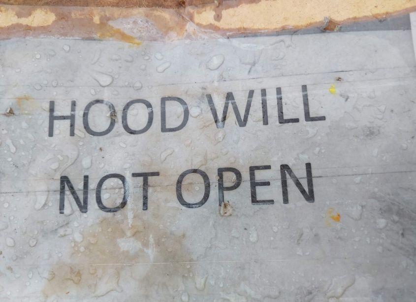 Photo 10 of 2005 Lincoln Town CAR SIGNATURE LIMITED (VIN 1LNHM82W95Y670965)