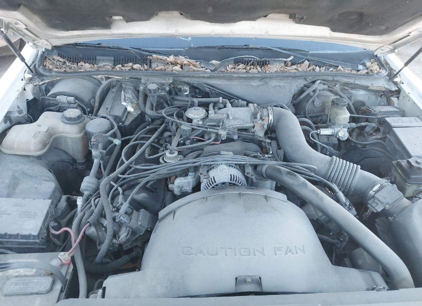 Photo 10 of 1997 Lincoln Town CAR EXECUTIVE (VIN 1LNLM81WXVY759293)