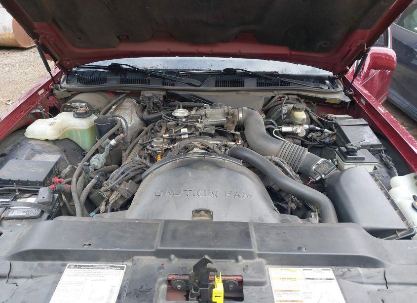 Photo 10 of 1997 Lincoln Town CAR SIGNATURE (VIN 1LNLM82W5VY738415)