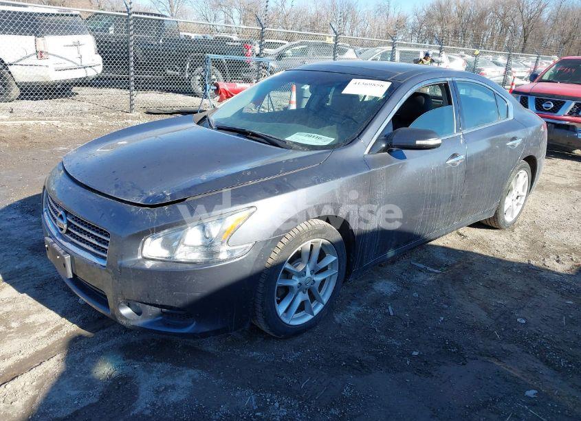 Photo 2 of 2009 Nissan Maxima 3.5 SV (VIN 1N4AA51E09C811890)