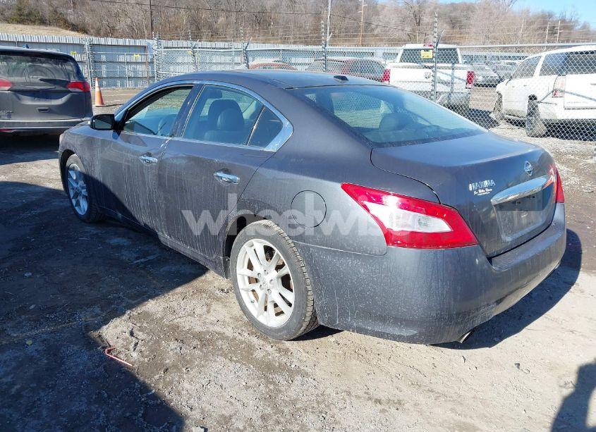 Photo 3 of 2009 Nissan Maxima 3.5 SV (VIN 1N4AA51E09C811890)