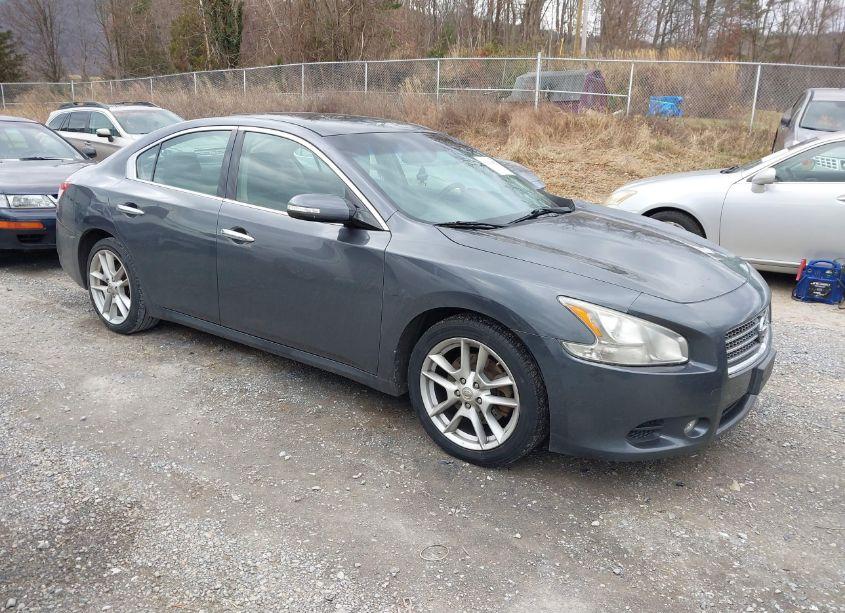2009 Nissan Maxima 3.5 SV (VIN 1N4AA51E09C816233) main photo