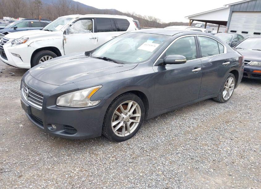 Photo 2 of 2009 Nissan Maxima 3.5 SV (VIN 1N4AA51E09C816233)
