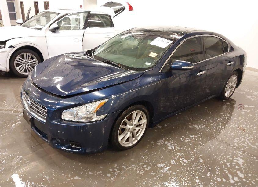 Photo 2 of 2009 Nissan Maxima 3.5 SV (VIN 1N4AA51E09C824798)