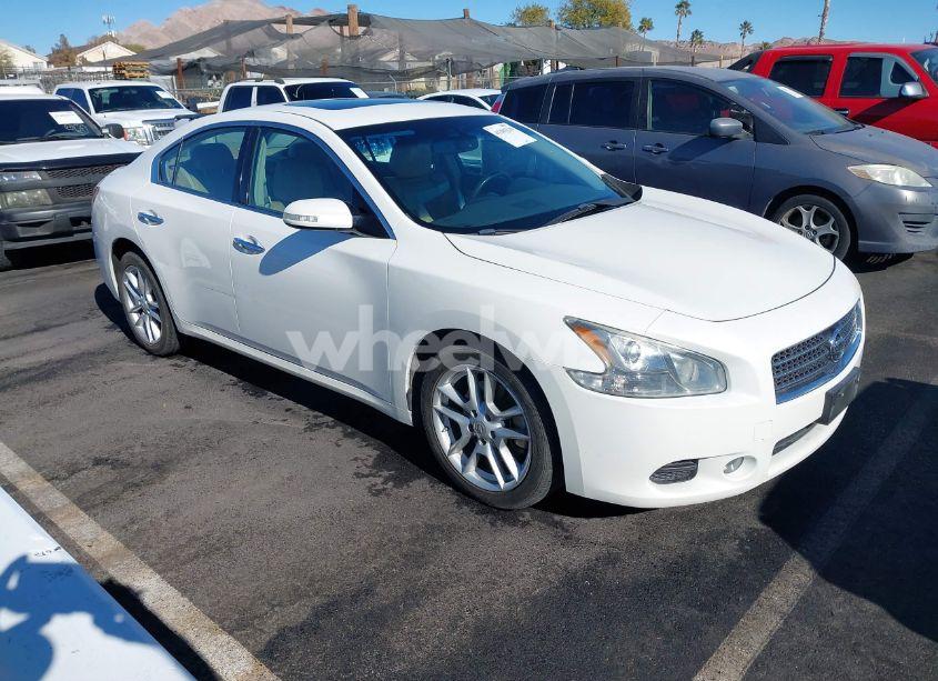 2009 Nissan Maxima 3.5 SV (VIN 1N4AA51E09C830987) main photo