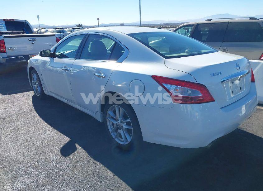 Photo 12 of 2009 Nissan Maxima 3.5 SV (VIN 1N4AA51E09C830987)