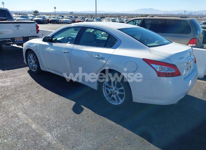 Photo 3 of 2009 Nissan Maxima 3.5 SV (VIN 1N4AA51E09C830987)