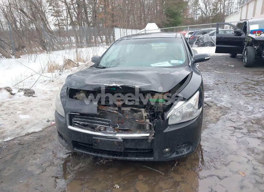 Photo 12 of 2009 Nissan Maxima 3.5 SV (VIN 1N4AA51E09C842086)